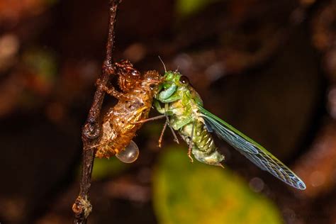 Nature-o-graphy with Uday