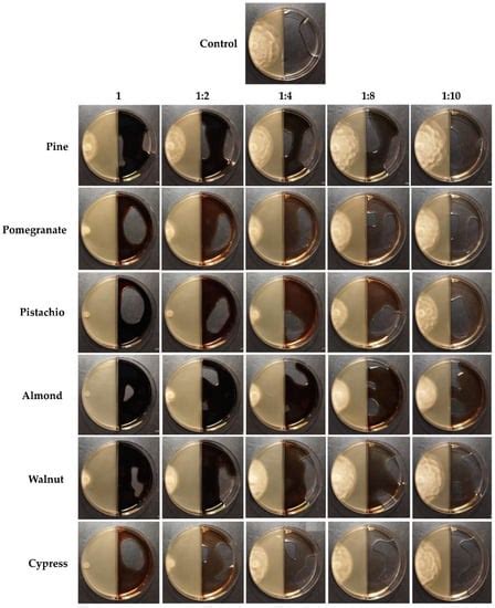 In Vitro Evaluation of Wood Vinegar (Pyroligneous Acid) VOCs Inhibitory ...