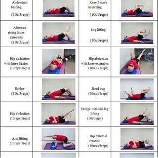 Image result for Scapular Dysfunction Exercises