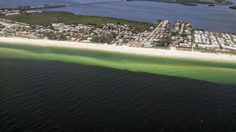 A year ago, toxic red tide took over Florida’s Gulf Coast. What would ...