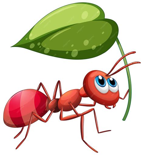 Clip Art Ant