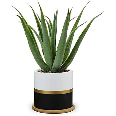 Briful Succulents Artificial Plants Fake Aloe Vera India | Ubuy