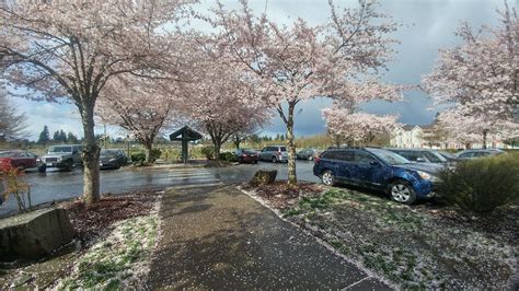 Ymca Briggs Olympia Wa