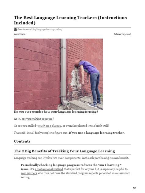 Language Learning Tracker Notebook 的图像结果