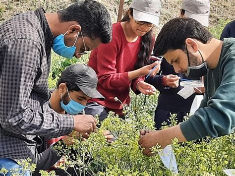 Dr YS Parmar University of Horticulture & Forestry