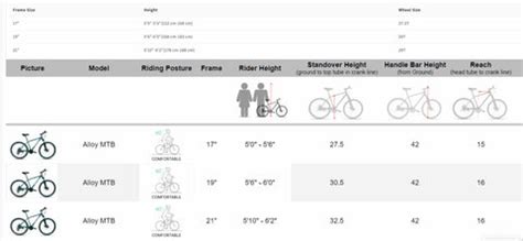 How to Choose Perfect Mountain Bike / MTB for Beginners in 2025 – OMOBIKES