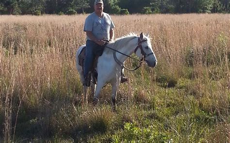 ANGEL'S APPY ACRES (2026) All You Need to Know BEFORE You Go (with ...