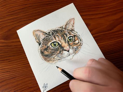 Drawing with Colored Pencil, 608 Pleasant Street, New Bedford, MA ...