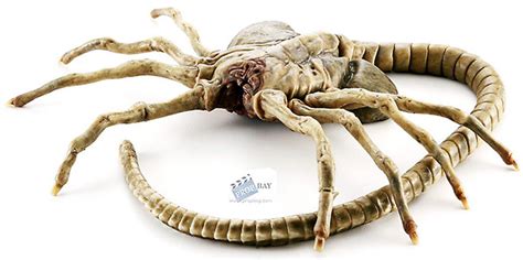 Alien Earth Facehuggers 的图像结果