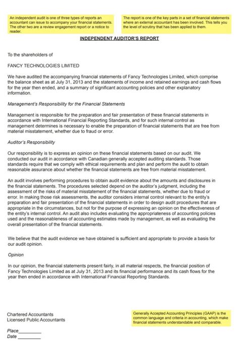 Audit Report Example 的图像结果