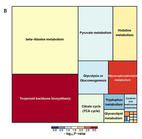Multi-Omics Analysis Reveals the Regulatory Mechanism of Probiotics on ...