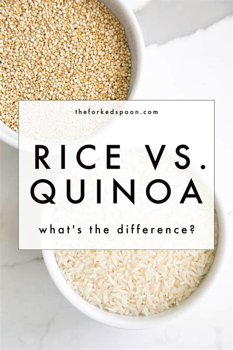Quinoa vs. Rice: What’s the Difference? - The Forked Spoon