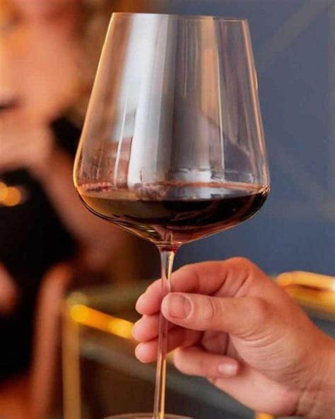 Buy Wine Glasses Sets, Wine Glassware Online in India – The Bar Collective