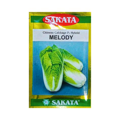 Sakata Cabbage Seeds | Buy Online in India at Best Price – Desikheti
