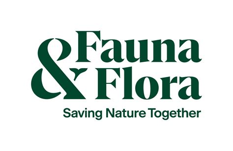 Jobs at Fauna & Flora | Conservation Careers | Putting the People into Conservation Careers