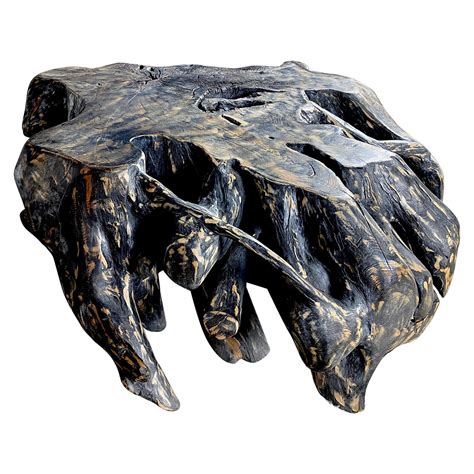 Modernist Organic Tree Root Table or Garden Seat at 1stDibs