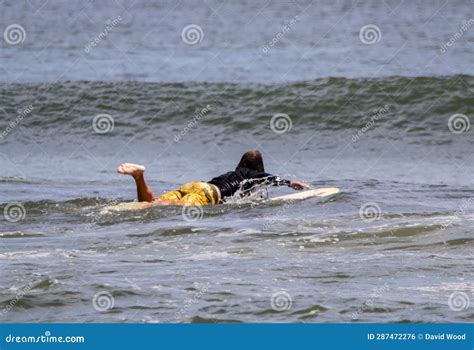 Surfer hit by 'big' creature after paddling out at closed beach: 'Unknown species'