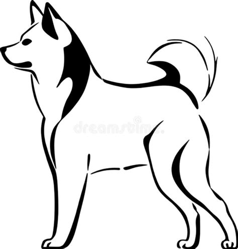 Inu Shiba: Unveiling the Charm of This Adorable Breed