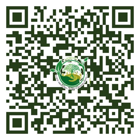 Commiphora caudata, Kilimaram, Kizhingil, Kizhuvam, Hill mango, കിളിമരം ...