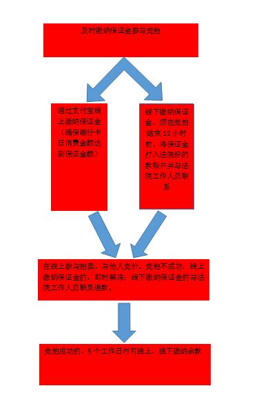 网拍竞拍流程图 - 永丰县人民法院网