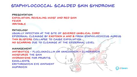 Staphylococcal Scalded Skin Syndrome | drbeen