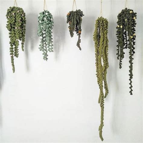 crochet vines