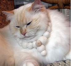 cat hair diy projects made with cat fur cat hair diy projects made with cat fur