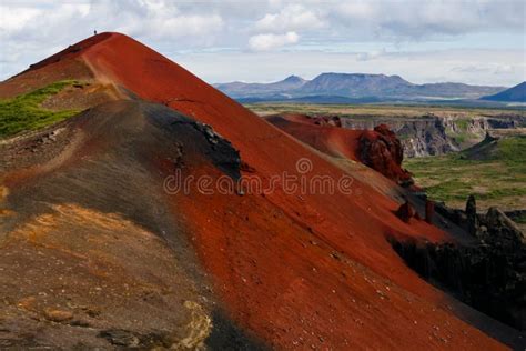 Check Up Colorful World 的图像结果