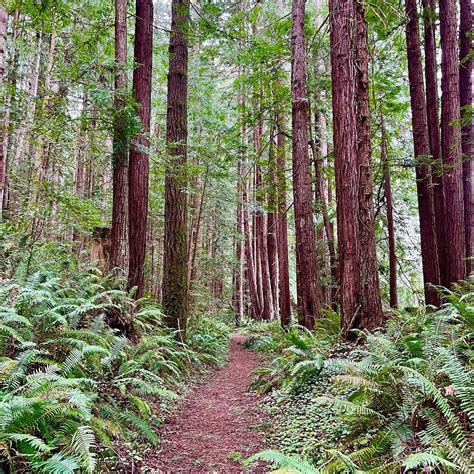 THE HOT SPOT TRAIL (2026) All You Need to Know BEFORE You Go (with ...