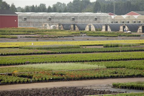 Sawyer Gardens Michigan | Fasci Garden