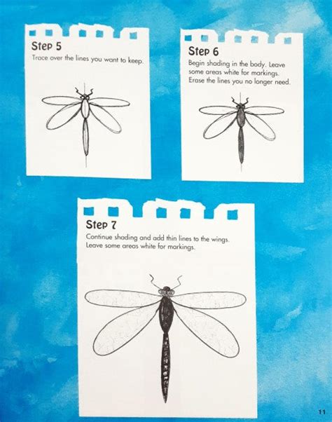 Drawing and Learning About Bugs Using Shapes And Lines – Books and You