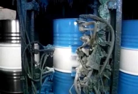 Automatic Drum And Barrel Painting System Manufacturer, Supplier from Pune