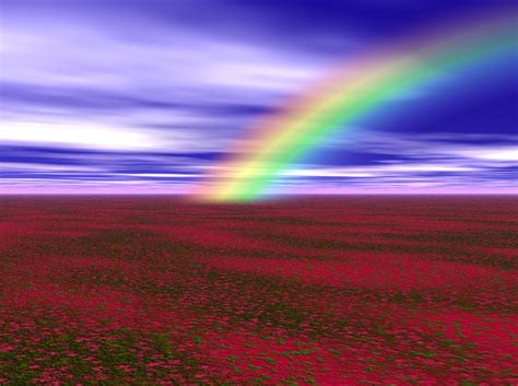 Image result for Rainbow Inflatable Pool