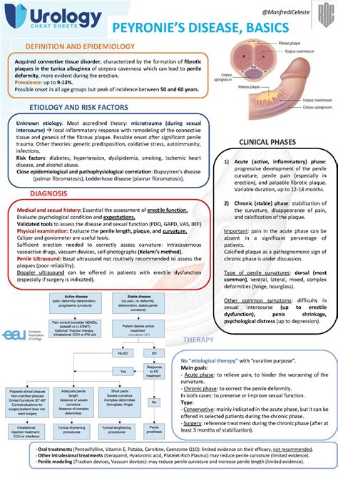 Peyronie's disease - Urology Cheatsheets