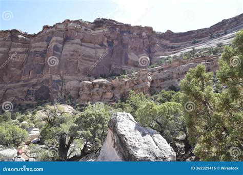 Scenic View of a Canyon Landscape with Lush Greenery. Colorado National Monument, USA Stock ...