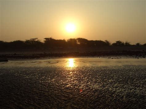 Tourist Places In Surat: Entry Fee & Things To Do