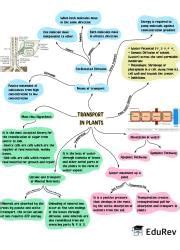 Mind Map: Transport in Plants (Old NCERT) - Subject-Wise Mind Maps for ...