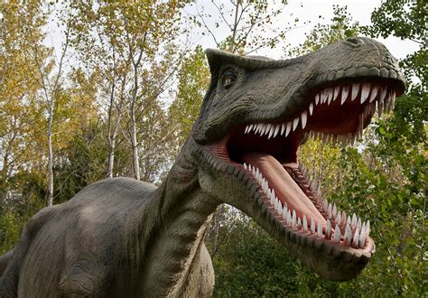 Real Living Dinosaur