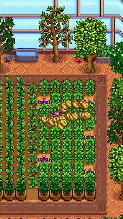 Coffee beans ☕ #stardewvalley #stardew - YouTube