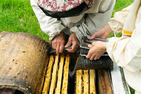 蜂蜜养蜂业产品 库存照片. 图片 包括有 蜂蜜养蜂业产品 - 66991340