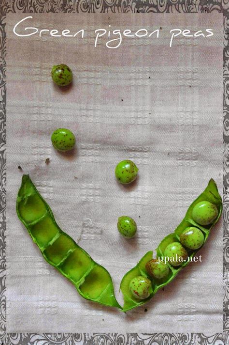 Upala: Green pigeon peas korma/Togarikalu kurma/Tuvar lilva korma