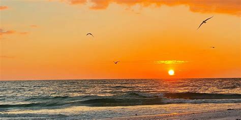 EcoWalk: Sunset Beach Meditation Walk - Ted Sperling South Lido Park ...