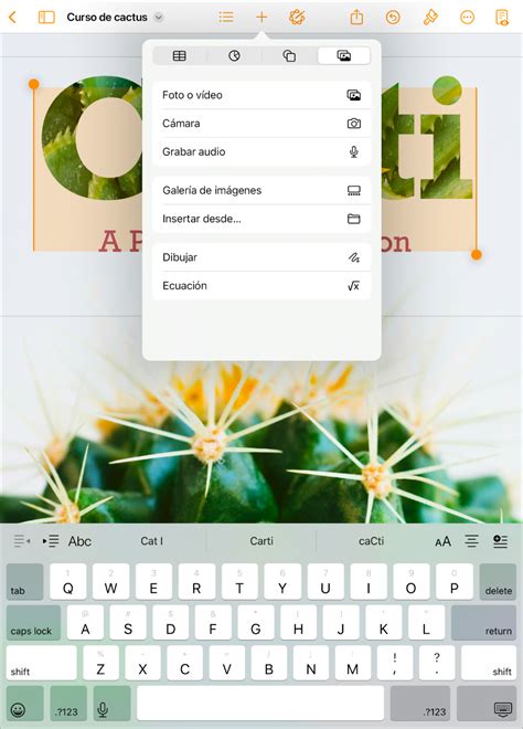 Tutorial Pages Apple En Español 的图像结果