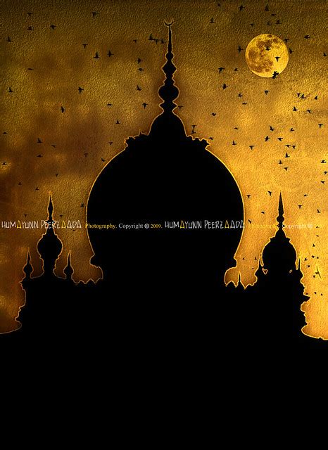 Pydhonie - JungleKey.in Image