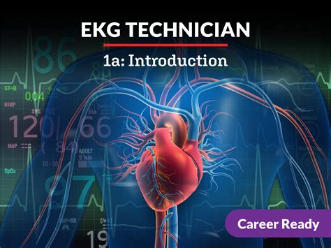 EKG Technician 1a: Introduction - eDynamic Learning