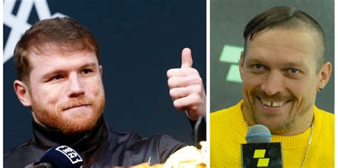 Boxer Player 的图像结果