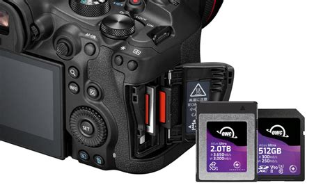 Canon EOS R6 Mark III Packs More Resolution and Faster, More Versatile ...