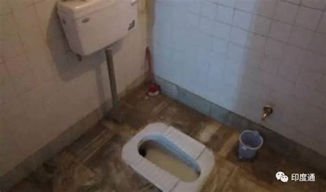朋友去印度出差30天，表示对印度”露天“公共厕所，无力了！