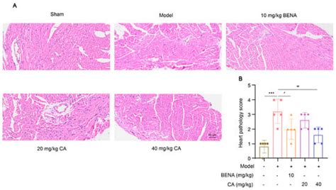 Mechanism Actions of Coniferyl Alcohol in Improving Cardiac Dysfunction ...
