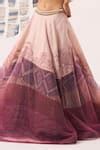 Buy Brown Lehenga Organza Embellished Sequin Round Abstract Print With ...